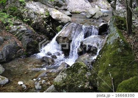 大岩の滝 16668300