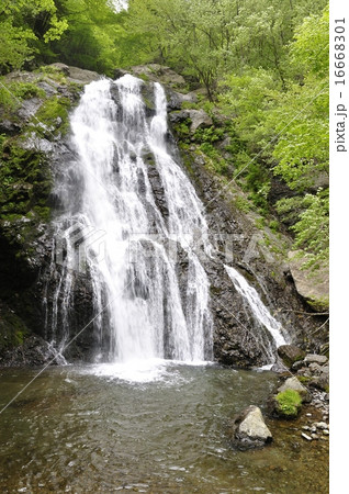 丹沢山地 雷滝 丹沢山地 雷滝 16668301