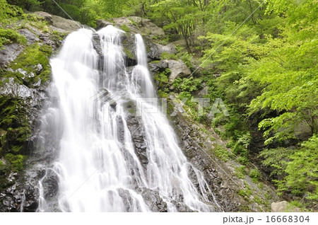 丹沢山地 雷滝 丹沢山地 雷滝 16668304