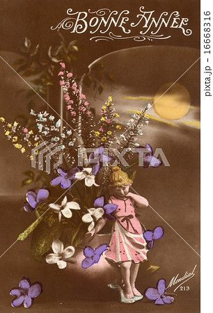 French antique postcard flower 10 16668316