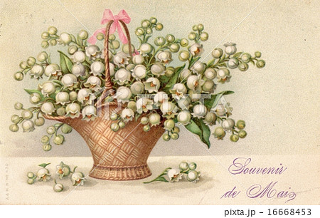 French Antique Postcard Flower 12のイラスト素材