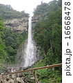 那智の滝 16668478