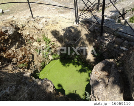 世界遺産 アスクレピオン 世界遺産 アスクレピオン 16669110