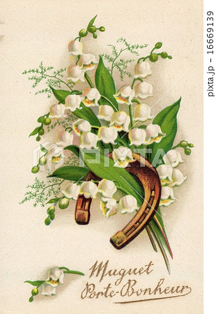 French antique postcard flower 16のイラスト素材 [16669139] - PIXTA