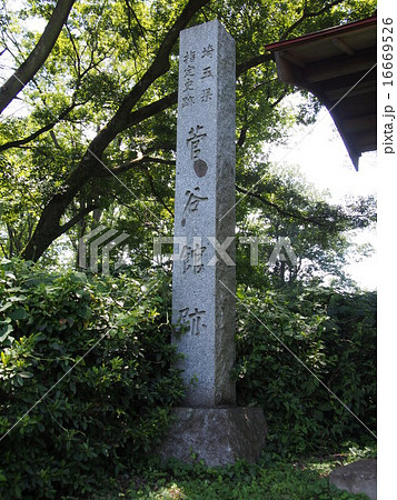 「埼玉県特別史跡 菅谷館跡」の石碑（嵐山 史跡の博物館／埼玉県比企郡嵐山町大字菅谷） 16669526