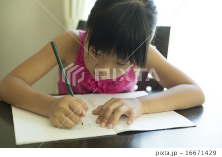 勉強する小学生　　英語のスペルを書く 16671429