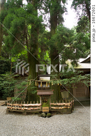 高千穂神社 16672601