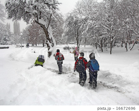 Playing in the snow 16672696