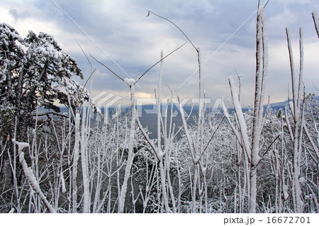 Winter landscape2 16672701