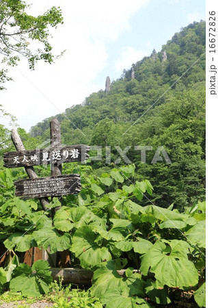天人峡・見返り岩（縦 16672826