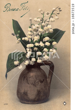 French antique postcard flower 27 16673519