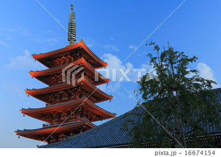 浅草寺夜景 浅草寺夜景 16674154