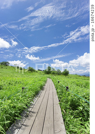 車山高原から見た景色 16674239