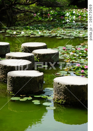 【京都府】平安神宮 16675069