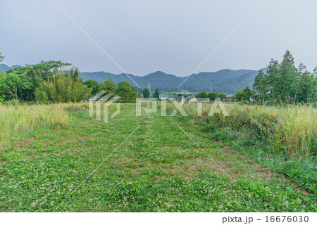 初夏の名胡桃城二の丸跡の風景 16676030