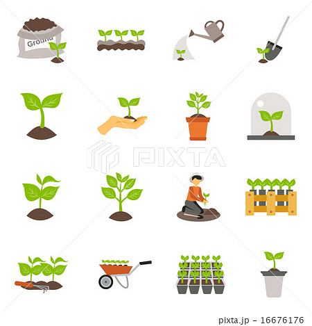 Seedling Flat Icons Set 16676176