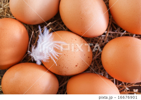 raw eggs raw eggs 16676901