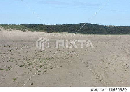 Dune Dune 16676989
