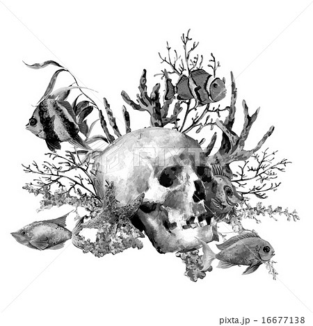 Watercolor monochrome sea life greeting card with skull and tropical fish Watercolor monochrome sea life greeting card with skull and tropical fish 16677138