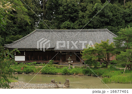 雨の浄瑠璃寺 16677401