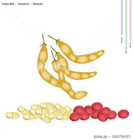 Dried Soybeans With Vitamin B, K And Manganeseのイラスト素材 [16678435] - PIXTA