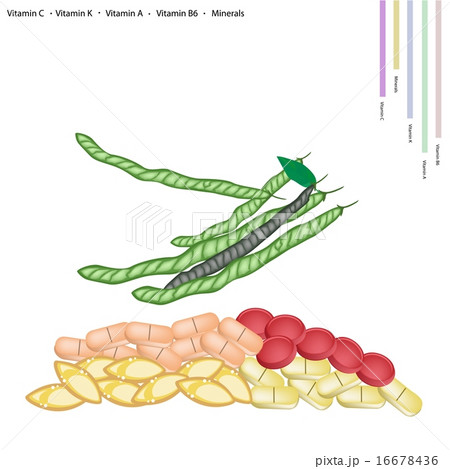 Green Beans with Vitamin C, K, A and B 16678436