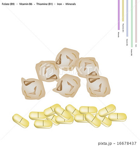 Dried Chickpea with Vitamin B9, B6 B1 and Iron Dried Chickpea with Vitamin B9, B6 B1 and Iron 16678437