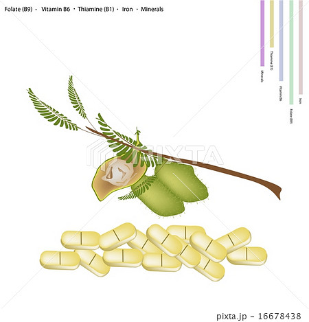 Chickpea with Vitamin B9, B6 B1 and Iron Chickpea with Vitamin B9, B6 B1 and Iron 16678438