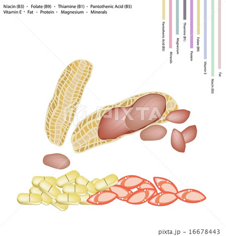 Peanuts Pods with Vitamin B3, B9, B1, B5 and E 16678443