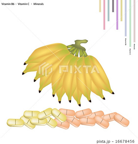 Sweet Banana with Vitamin B6 and Vitamin C Sweet Banana with Vitamin B6 and Vitamin C 16678456