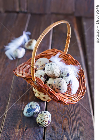 raw quail eggs raw quail eggs 16679546