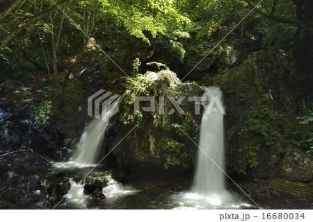 古谷渓谷 信州 乙女の滝 古谷渓谷 信州 乙女の滝 16680034