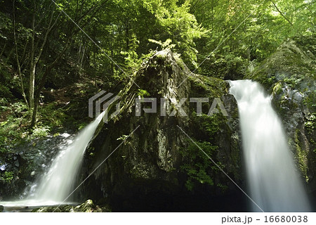 古谷渓谷　信州　乙女の滝 16680038