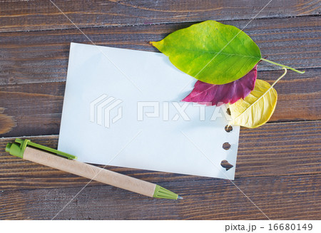 automn background 16680149