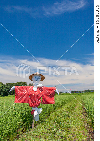 見沼田んぼの案山子 見沼田んぼの案山子 16680356