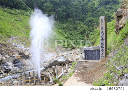 渋の地獄谷噴泉 渋の地獄谷噴泉 16680701