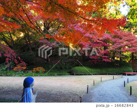 紅葉を見上げるお地蔵様 16682843