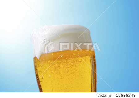 ビール 16686548