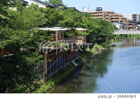 金沢浅野川 白糸川床 金沢浅野川 白糸川床 16686963