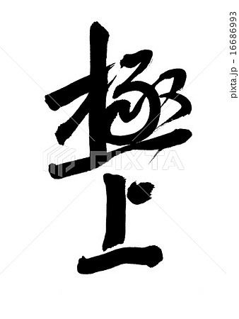 極上 16686993
