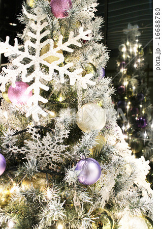 きらめきのクリスマスツリー 16688780