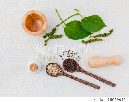 The Kind of pepper 16689032