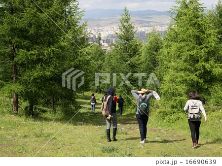 the return of the walking 16690639