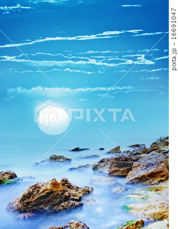 nature nature 16691047