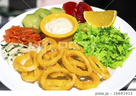 sham dishes made of plastic and silicone 16691913