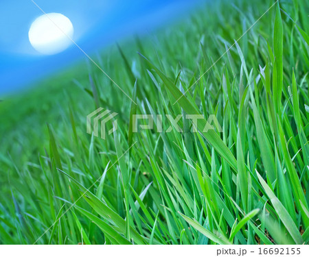 nature background nature background 16692155