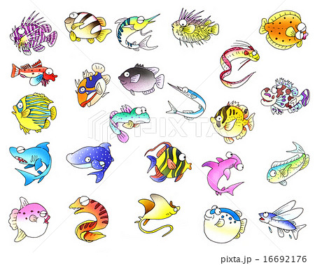 美しい花の画像 100 Epic Best簡単 魚 かわいい イラスト