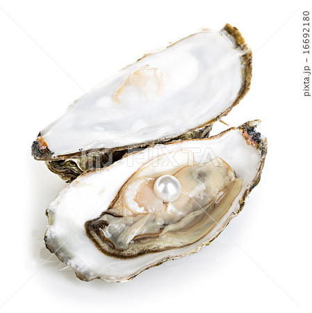 Oysters with pearls isolated on white background 16692180