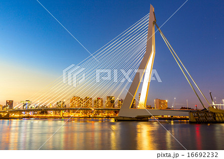 Erasmus bridge Rotterdam 16692232