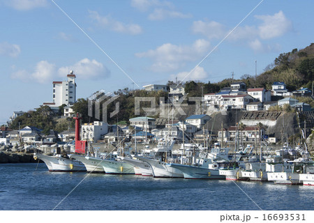 下田市/須崎港 16693531